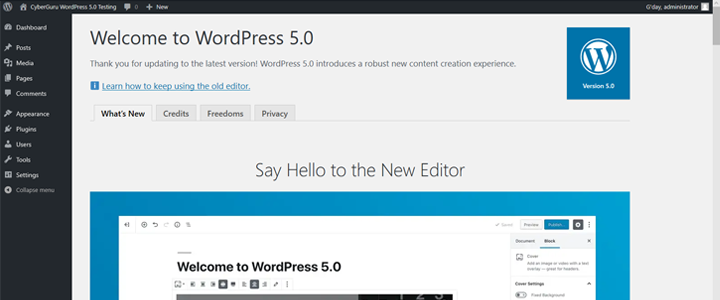 WordPress 5.0 'Bebo'