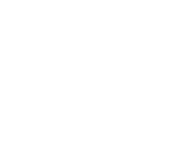 CyberGuru