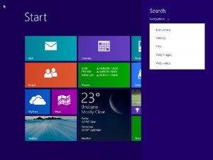 Windows 8.1 - Search